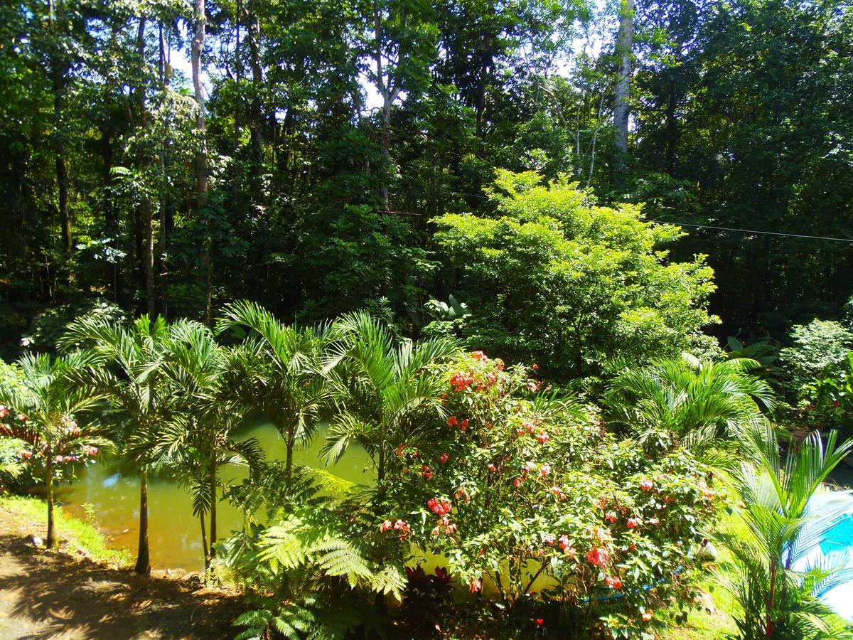 Hotel Valle Azul San Gerardo Oda fotoğraf