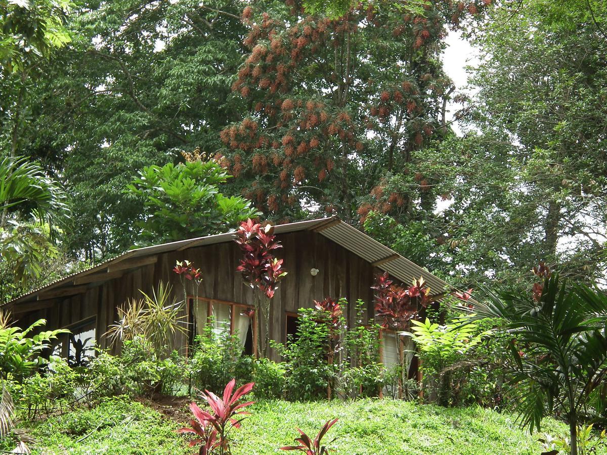 Hotel Valle Azul San Gerardo Oda fotoğraf