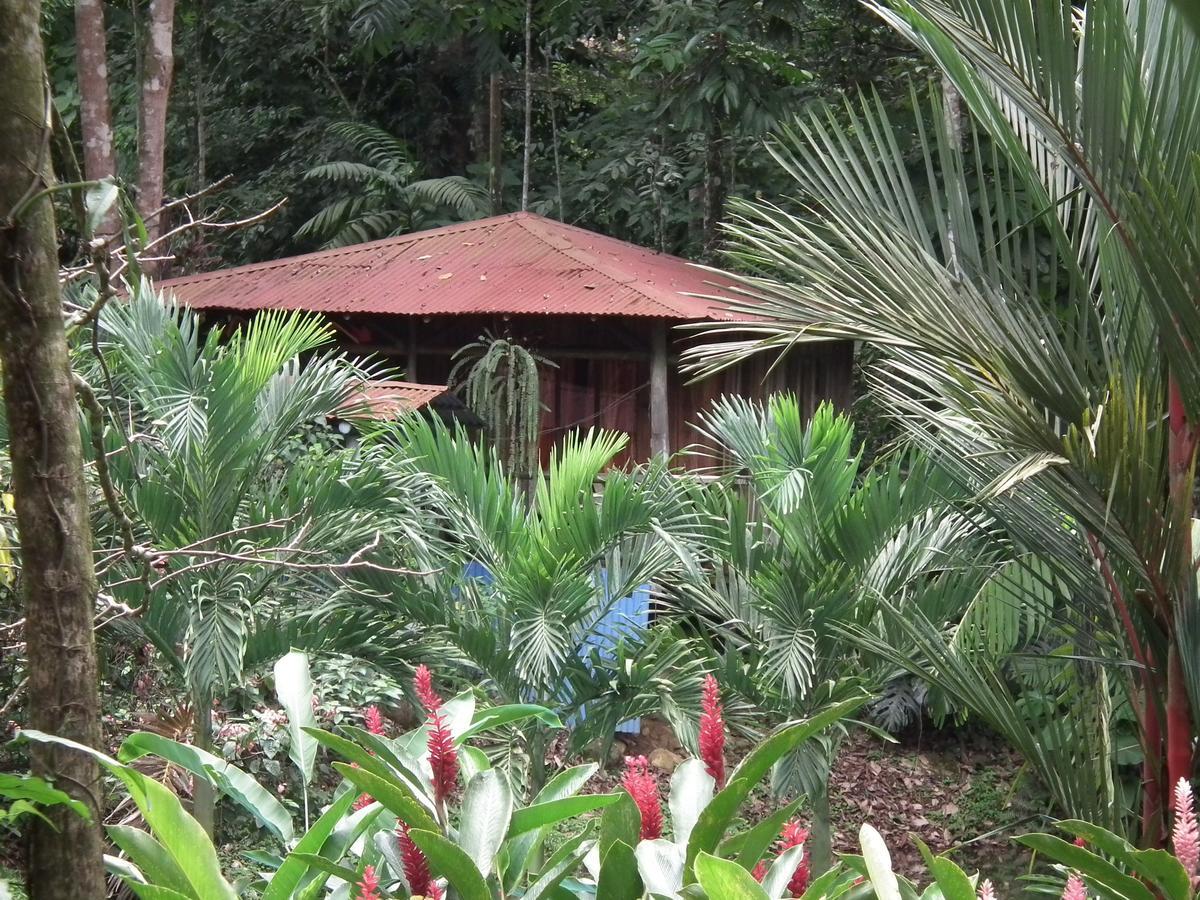 Hotel Valle Azul San Gerardo Oda fotoğraf