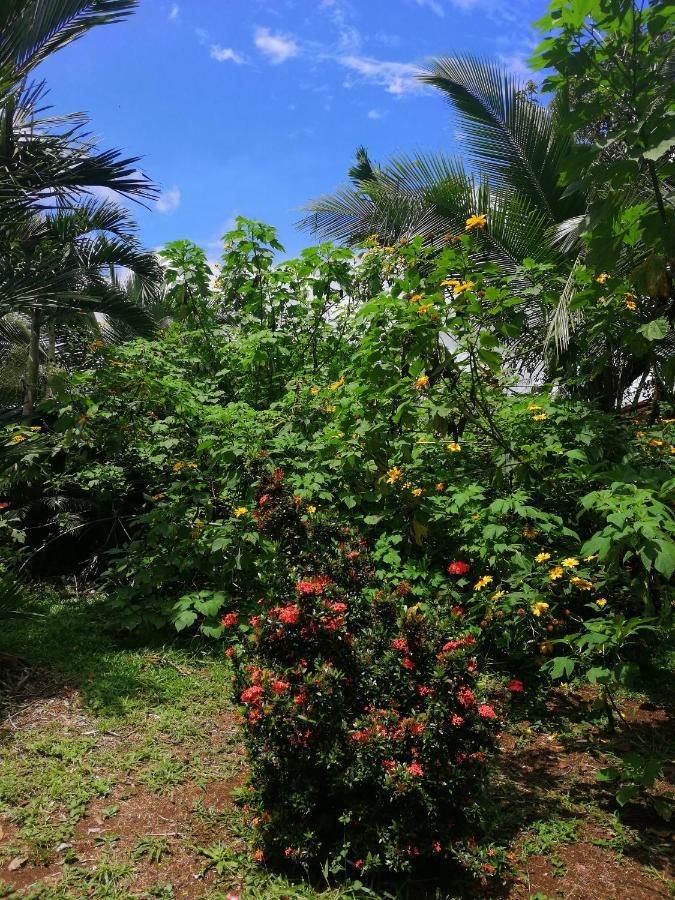 Hotel Valle Azul San Gerardo Dış mekan fotoğraf